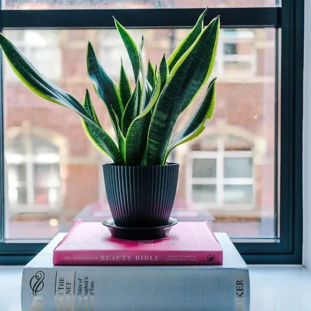 Modern -2 Min Walk From Station * Leeds (West Yorkshire)